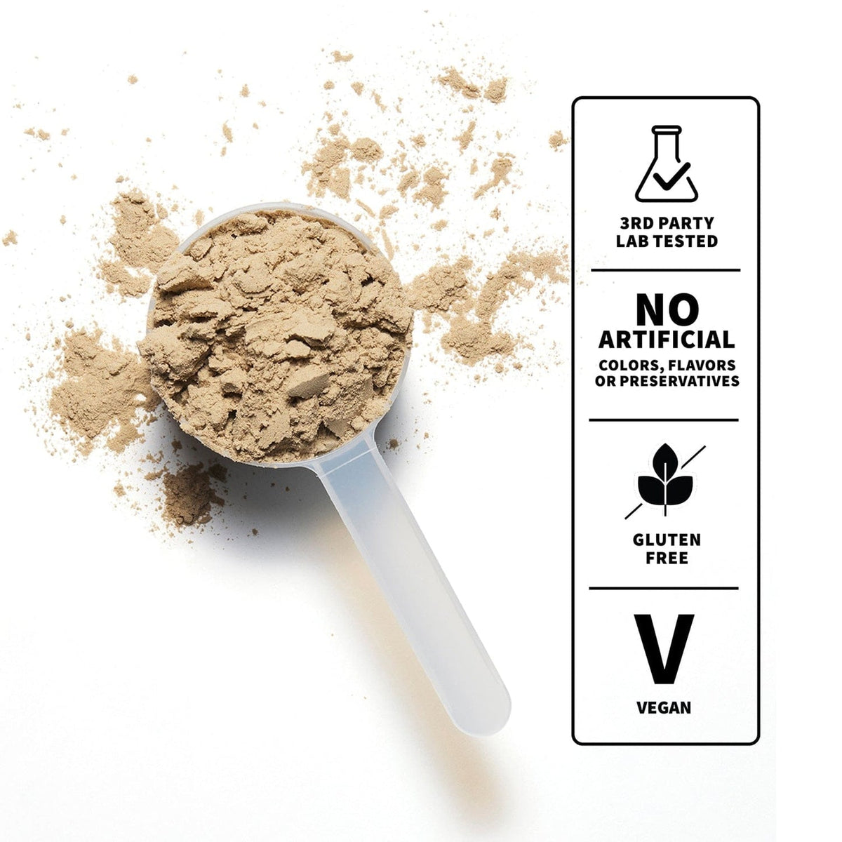 NOBULL Plant Protein | Chocolate  Nutrition