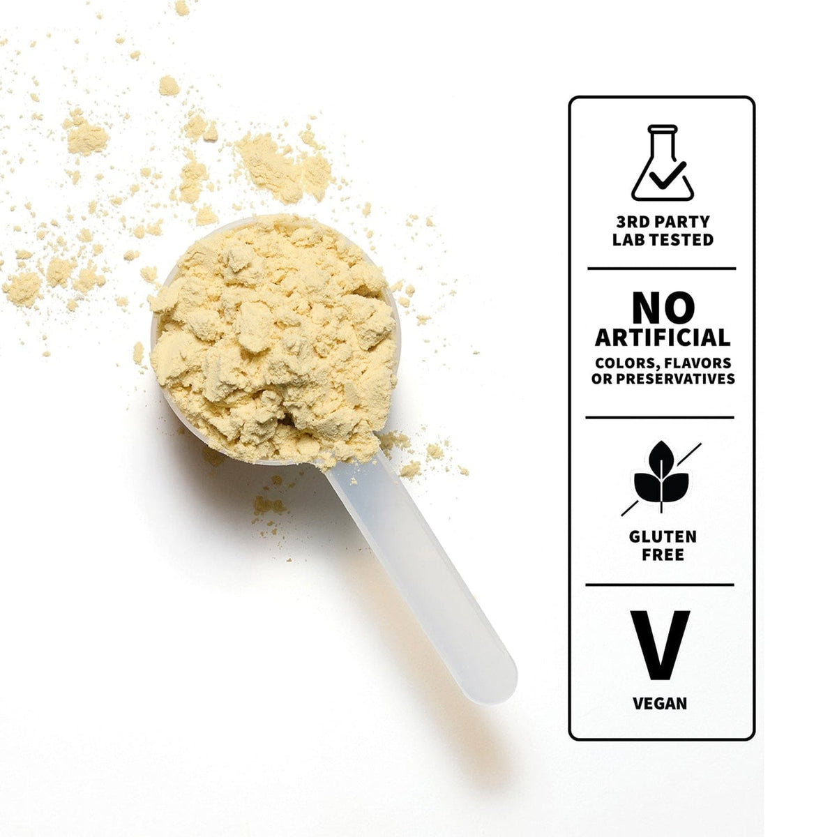 NOBULL Plant Protein | Vanilla  Nutrition