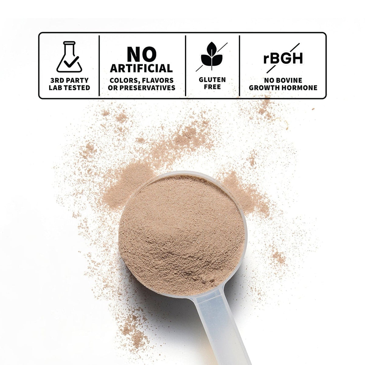 NOBULL Grass-Fed Whey Protein Isolate | Chocolate  Nutrition